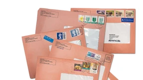 Für 100 Euro per Express ins Wahlbüro