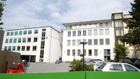 Tante Anna, die Rex und eine blaue Eule