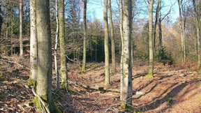 Eine frühzeitliche Großstadt an steilem Hang
