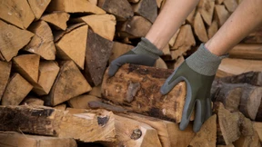 Brennholz ist um 85 Prozent teurer geworden