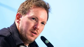 Hyänen, die Graugänse jagen