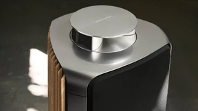 Akustische Wahlverwandtschaft