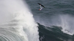 „Der Körper schaltet sehr schnell in den Panikmodus“