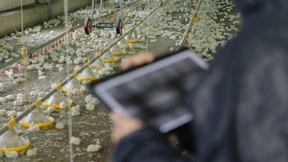 Zwischen Tierwohl und Profit