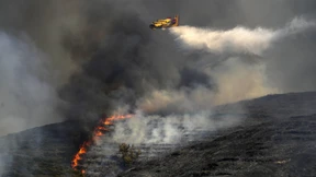 Zwei Piloten von Löschflugzeug sterben bei Absturz