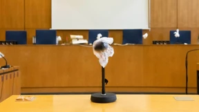 Die Grenzen des Gerichts