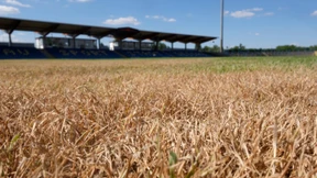 Wie ein DFB-Pokalspiel zur wochenlangen Farce wurde