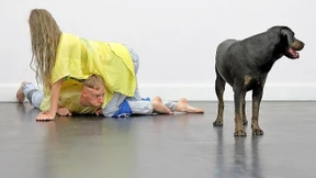 „Hinterfragung der Trennung von Mensch und Tier “