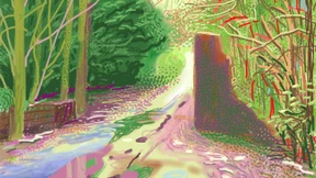 Formatfüllende Farbfeste