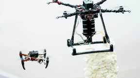 Die fliegenden Baumeister