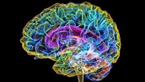 „Auf dem Sofa beim Fernsehen altert das Gehirn besonders schnell“