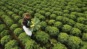 „Auch an Grünkohl und Hafer kann man sich gewöhnen“