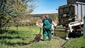 Die Bürokratie ist langsamer als der Wolf