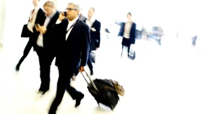 Nesthocker mit kosmopolitischem Anstrich