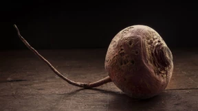 Wenn schon keine Pommes, dann aber bitte mit allem