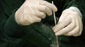 Bühne frei für das biopolitische Theater!