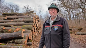 Leichte Beute für gut organisierte Täter