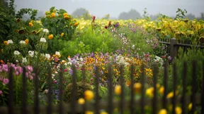 Fest der Farben im Herbst