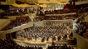 Ein Weinberg in der Riesenkathedrale