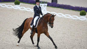 Zwischen Genie und Abflug