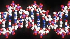 Der Doktor und der liebe Embryo