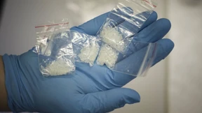 „Sie kommen mir vor wie wilde Tiere“