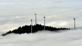 „So ein strahlendes Schälchen hat doch jeder“