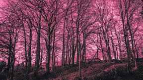 Wir wissen viel zu wenig