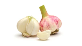 Das Blut bitte ohne Knoblauch!