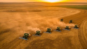 Wie wird die Welt nur satt?