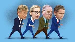 Wie die AfD zum Prüffall wurde