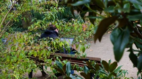 Harte Arbeit auf der Parkbank