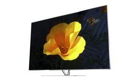 Der Letzte seiner Art