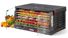 E-Scooter mit Dörrobst unter Saphirglas