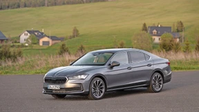 Geschwisterliebe unter Dienstwagenfahrern