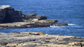 Erster tödlicher Haiangriff seit fast 60 Jahren