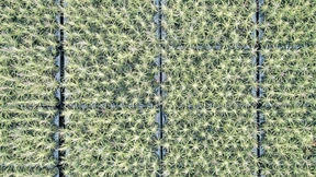 Das größte aller Marktversagen