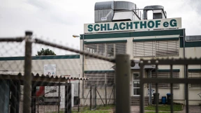 Schlachthof im Kreis Böblingen muss vorerst schließen