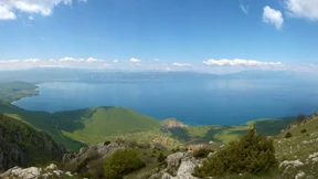 Spielplatz der Evolution