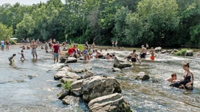 Baden verboten am Höchster Wehr