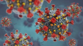 Was ist das humane Metapneumovirus?