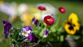 Der Frühling kommt!