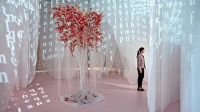 Poetische Kirschen auf rosa Grund