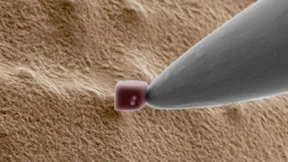 Nanotechnologie und Ernährung