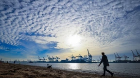 Streit um Hamburger Hafen könnte mit Kompromiss enden