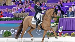 Wie sich Katharina Hemmer in die höchste Dressur-Liga reitet