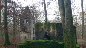 Wälder statt Felder