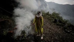 So hoch die Bienen fliegen