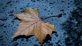 Weiter regnerisch und mild