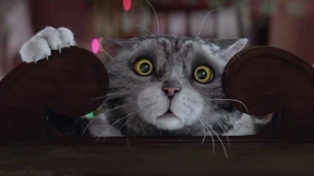 Weihnachten wird’s ganz schön viral